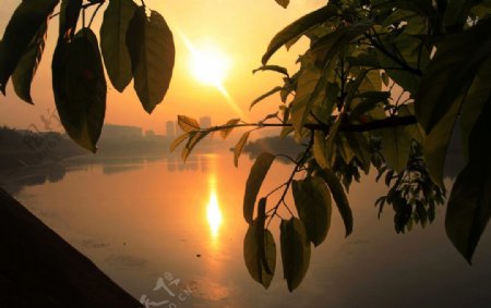 东坡湖风景图片
