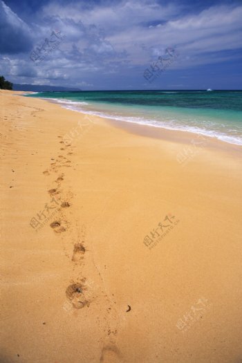 沙滩足迹图片