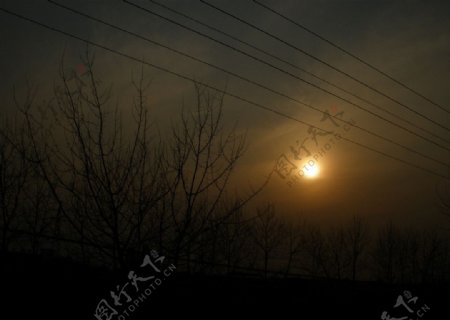 太阳日食枯枝黄昏图片