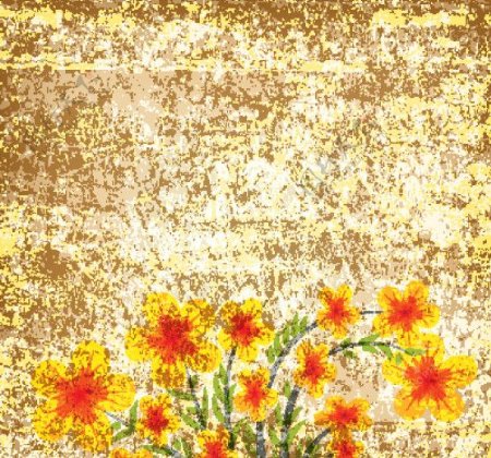 古典花卉花朵背景图片