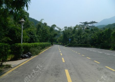 深圳植物园风景图片