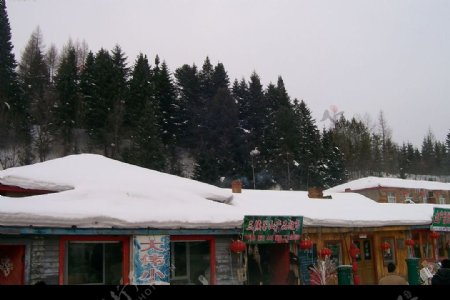 雪村图片