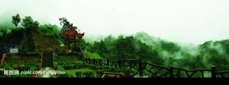 神农架风光森林图片
