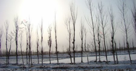冬季风光图片