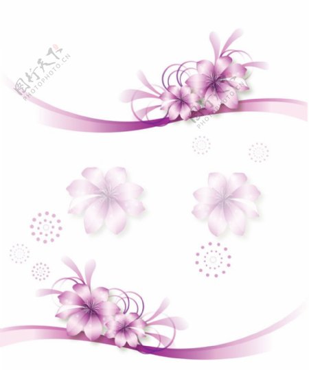 紫色花线条图片