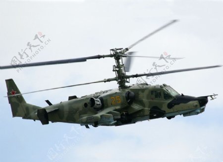 KA50武装直升机图片
