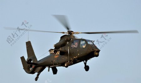 直19武装直升机图片