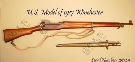 1917型温彻斯特步枪图片