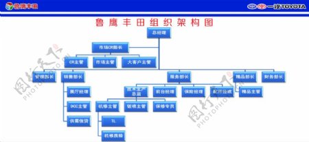 济南鲁鹰丰田组织架构图片