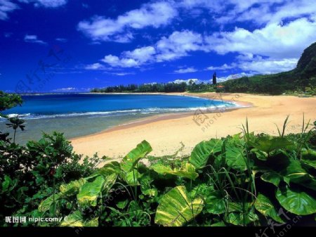 夏威夷风光壁纸图片