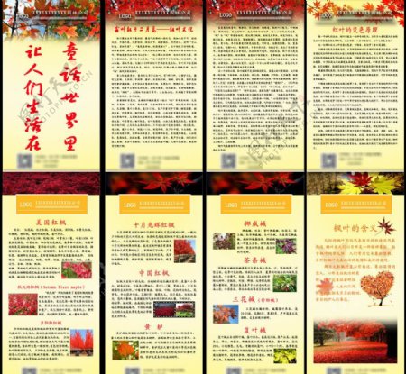 红枫节图片