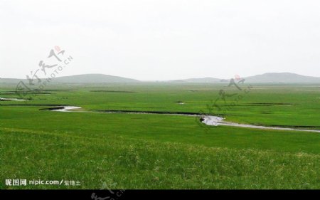 北国碧玉呼伦贝尔大草原图片