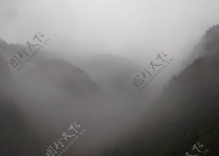 雨后雾景图片