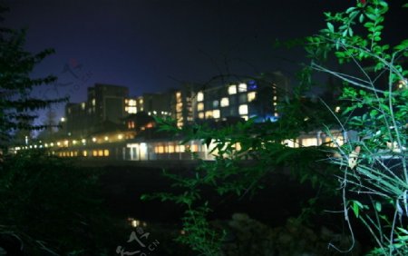 夜色东温泉图片