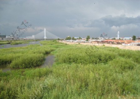 海拉尔哈萨尔大桥图片