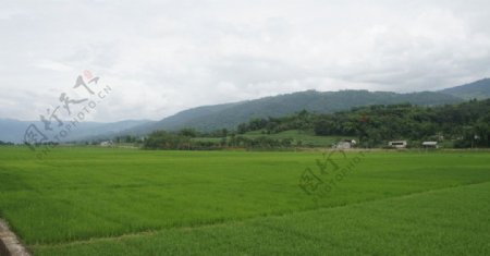 田园风光图片