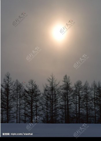 冬季阳光图片