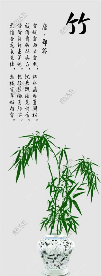 盆景竹图片