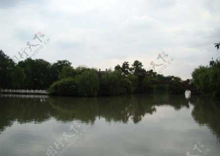 观湖景区杨柳岸小桥图片