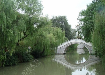 杨柳岸瘦西湖白拱桥图片