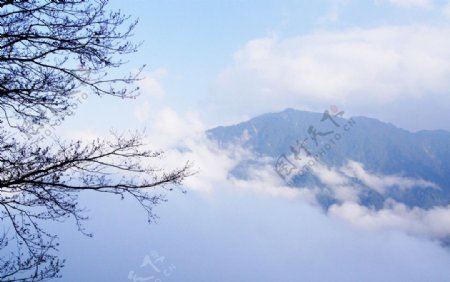 台灣花蓮中橫之旅雪景图片