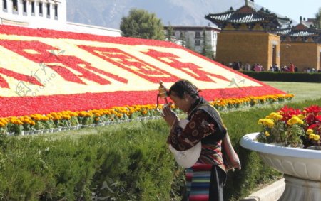 西藏阿婆图片