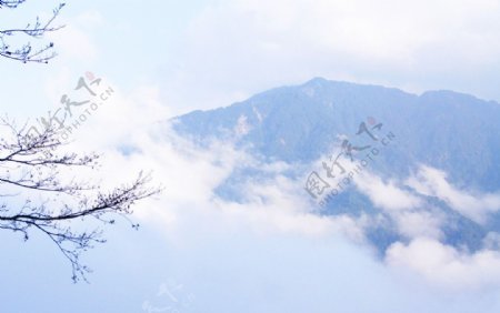 台灣花蓮中橫之旅雪景图片