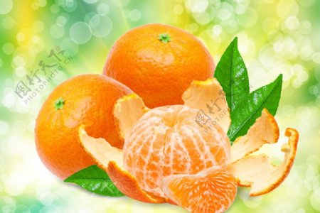 新鲜的橘子广告图片