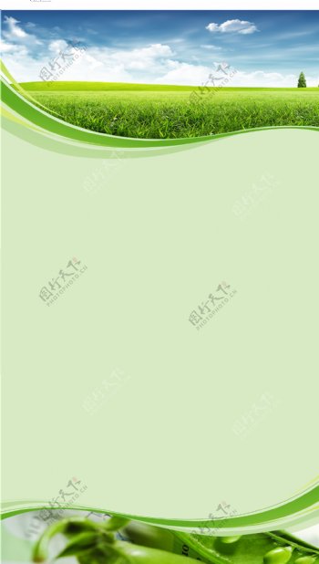 绿地背景图片