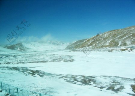 西藏雪原图片