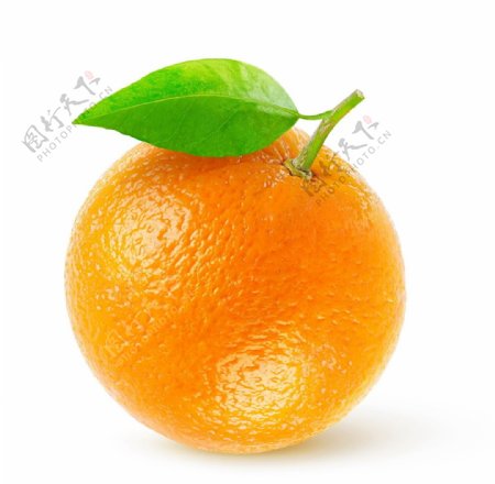 新鲜橘橙图片