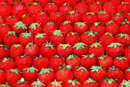 高清草莓图片草莓草