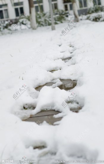 雪中小道图片