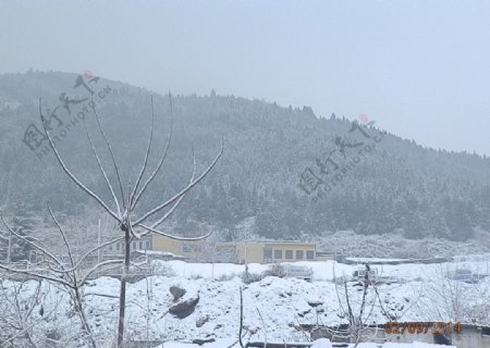 雪景图片