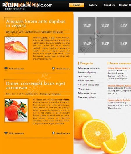 橙色的博客网页模板图片