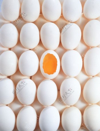 蛋蛋壳鸭蛋蛋黄模型图片照片素材图库