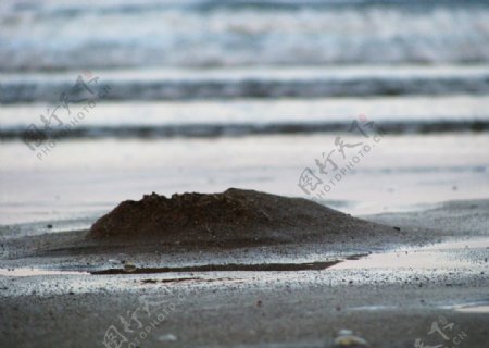 小沙丘沙滩图片