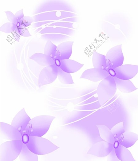 移门紫色花图片