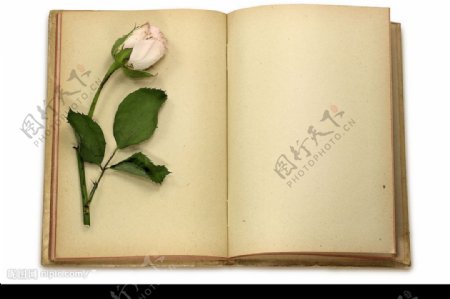 怀旧复古情人节粉红玫瑰羊皮纸日记本图片