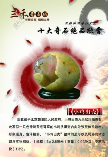 奇石文化宣传小鸡出壳图片