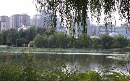 北京公园图片