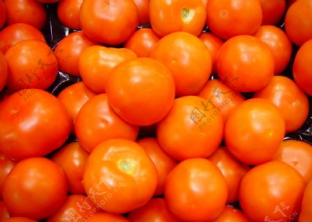 西红柿摄影图片