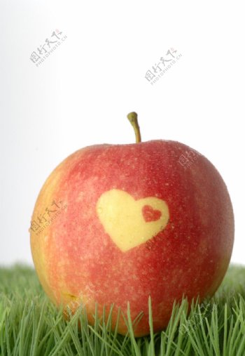 爱心苹果图片