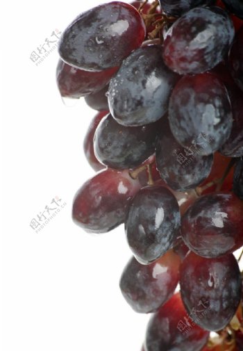 葡萄紫葡萄葡萄束水果特写图片