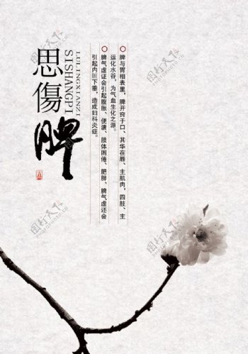 中式传统养生海报图片