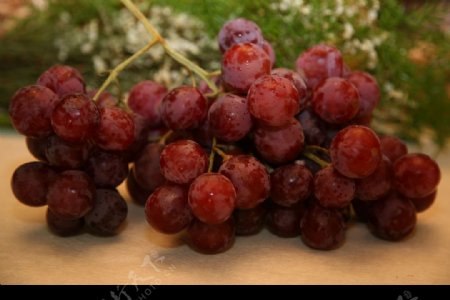 水果葡萄红提图片
