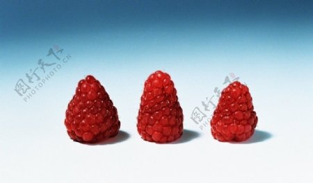三颗树莓图片