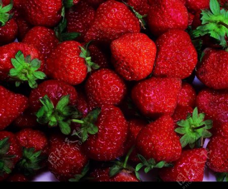 草莓4图片