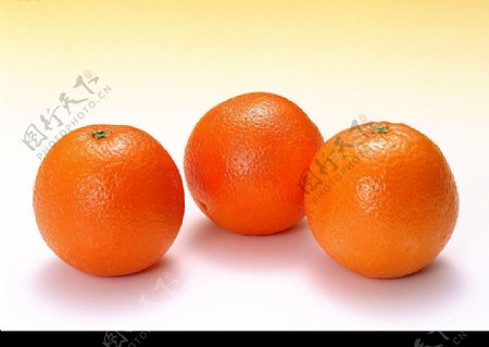橙子3图片
