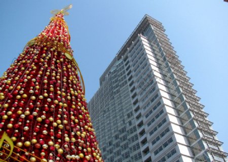 圣诞树和高楼图片